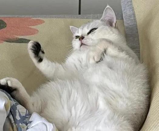 е؈ʲôr(q)x؈(q)xˎ(yng)ԓͿĂλ