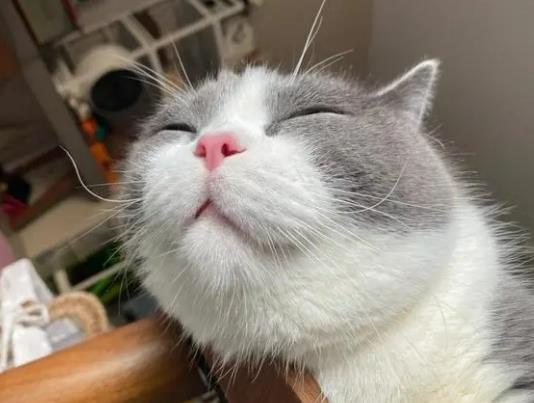 С؈ʺ^(gu)ౠ_(ki)ôk؈ʺǽY(ji)Ĥ׆