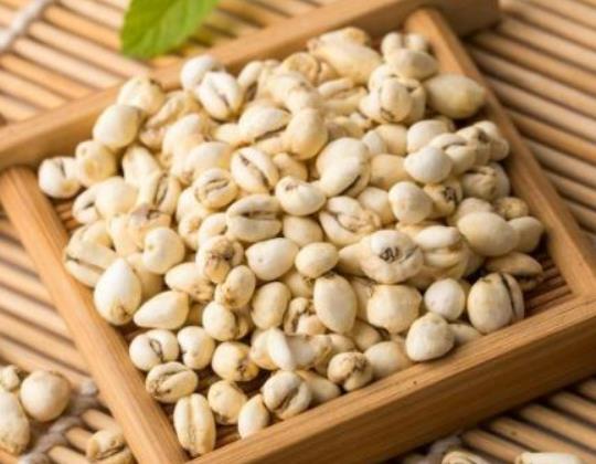 川貝枇杷膏一次喝多少?川貝枇杷膏治療哪些疾病 川貝枇杷膏一次喝多少?川貝枇杷膏治療哪些疾病